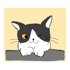 [LINEスタンプ] 保護猫 琉未ちゃん