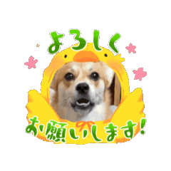 [LINEスタンプ] ぽっちゃんのスタンプ3