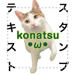 [LINEスタンプ] konatsu nyan 2の画像（メイン）