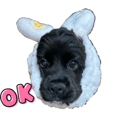 [LINEスタンプ] エヴァんぬのスタンプ