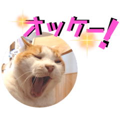 [LINEスタンプ] チャビとハナと時々マロン