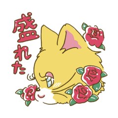 [LINEスタンプ] 猫のきぬくん 毎日ちょっとずつ幸せ