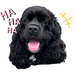 [LINEスタンプ] エヴァのすたんぷ2