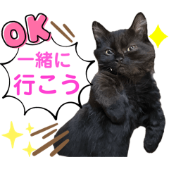 [LINEスタンプ] 黒猫 ルナ院長147にゃんめ