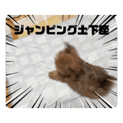 [LINEスタンプ] わんことうさぎの動くスタンプ