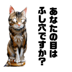 [LINEスタンプ] リアル猫ちゃんの丁寧な言葉にゃん[敬語]