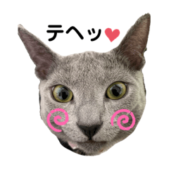 [LINEスタンプ] サラちゃんPart③