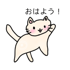 [LINEスタンプ] 毎日使える！可愛いねこスタンプの画像（メイン）