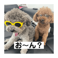 [LINEスタンプ] ちゃき＆ぐり