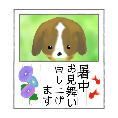 [LINEスタンプ] 葉書「暑中お見舞い申し上げます」