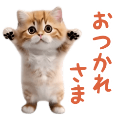 [LINEスタンプ] 踊る！ダンス猫