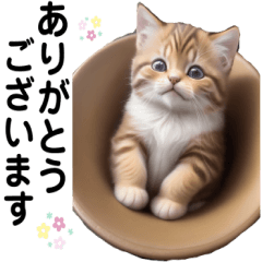 [LINEスタンプ] 猫好きのずっと使える敬語スタンプ