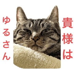 [LINEスタンプ] ネオ・ザ・タロウ