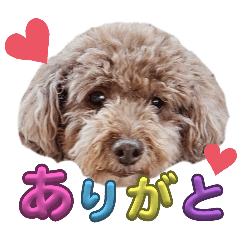 [LINEスタンプ] デカプー＆ダップーの日常会話の画像（メイン）