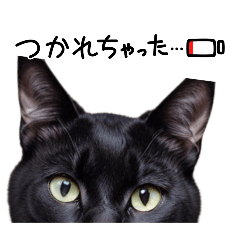 [LINEスタンプ] 黒猫の日常(毎日使える)