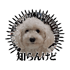 [LINEスタンプ] 動くダップーのシュガー