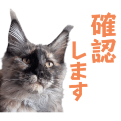 [LINEスタンプ] yoruka=zaoldyeckの画像（メイン）