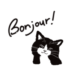 [LINEスタンプ] 猫ねこシンプルモノクロフランス語スタンプ