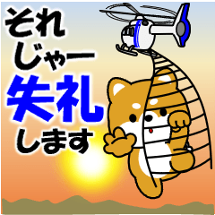 [LINEスタンプ] 飛び出す！豆柴の「敬語」