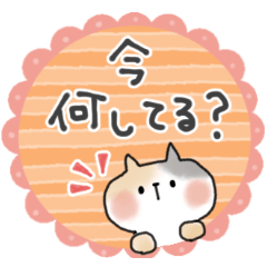 [LINEスタンプ] ずっと使える＊ねこサン＊優しいスタンプ＊