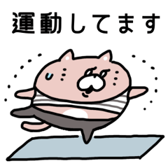 [LINEスタンプ] どすこいキャット なにしてる