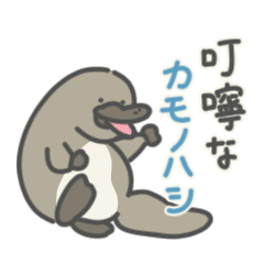 [LINEスタンプ] 叮嚀なカモノハシ