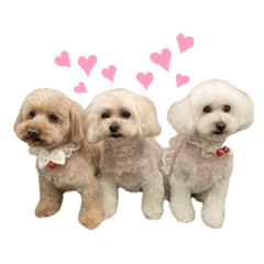 [LINEスタンプ] やまだ家のちびたち