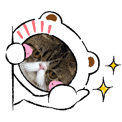 [LINEスタンプ] 毎日ゆったり過ごす猫④の画像（メイン）