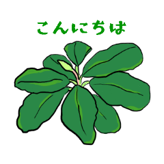 [LINEスタンプ] ブセファランドラ