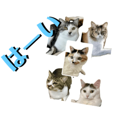 [LINEスタンプ] ミケ子と仲間たち