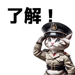 [LINEスタンプ] 【ずっと使える】可愛い仔猫あいさつ