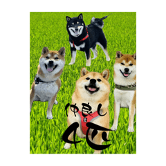 [LINEスタンプ] シバーズ隊