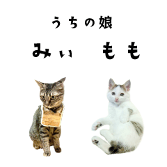 [LINEスタンプ] うちの娘 みぃ・もも