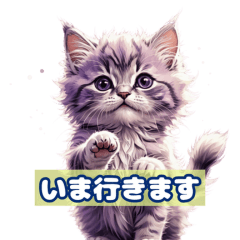 [LINEスタンプ] 毎日使える かわいい子猫との1日