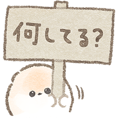 [LINEスタンプ] ポメラニアンぽぽちの一日の画像（メイン）