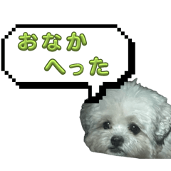 [LINEスタンプ] ちゃぴってみよう。