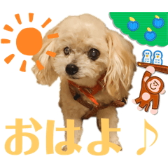 [LINEスタンプ] ⭐︎ジョリー＆ピコ＆メリー＆マリー⭐︎