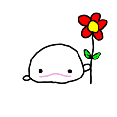 [LINEスタンプ] 白イルカと仲間達