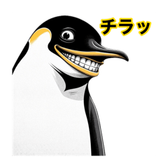 [LINEスタンプ] 歯が丈夫すぎるペンギン(よく使う編)