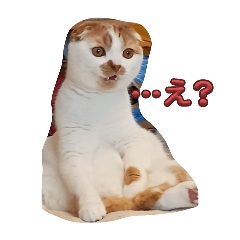 [LINEスタンプ] きゃわきゃわちくわくん