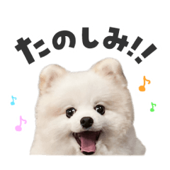 [LINEスタンプ] もふもふ！ぺろちゃんの日常♪
