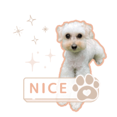 [LINEスタンプ] はるちゃん_202405