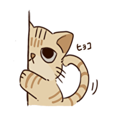 [LINEスタンプ] うちのねこむぎ