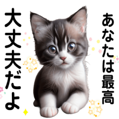 [LINEスタンプ] 猫好き☆引き寄せのポジティブスタンプ