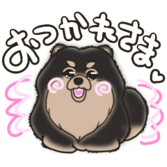 [LINEスタンプ] 人懐っこいポメラニアン①