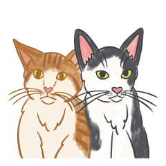 [LINEスタンプ] 私たちの猫！