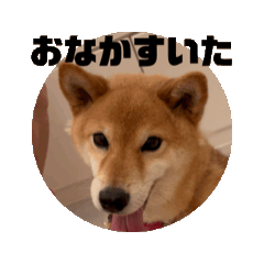 [LINEスタンプ] テキトーなスタンプ！！！