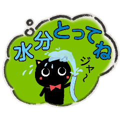 [LINEスタンプ] ニャンコたちの梅雨、夏に使える日常会話