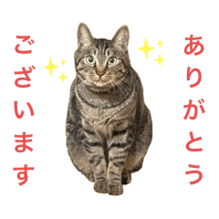[LINEスタンプ] ネオ・ザ・タロウ2
