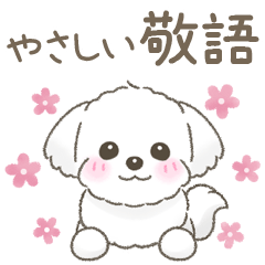 [LINEスタンプ] 【やさしい敬語】可愛いマルチーズちゃん